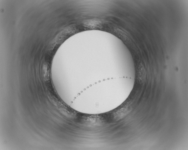 X0000052610420200507221704