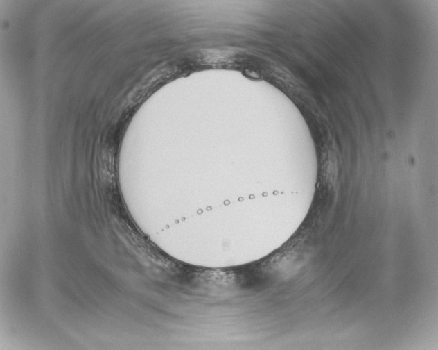 X0000052610421200507221704