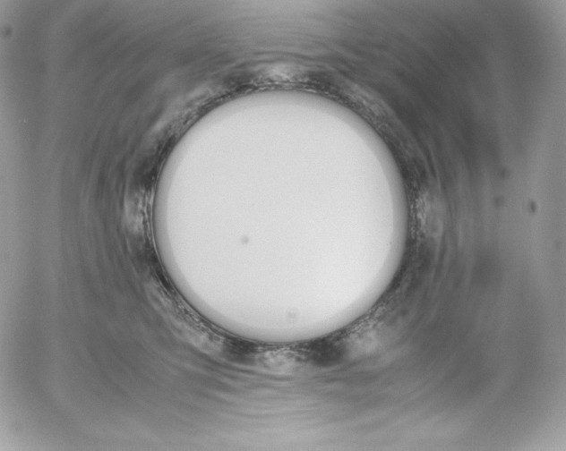 X0000052610423200507221704