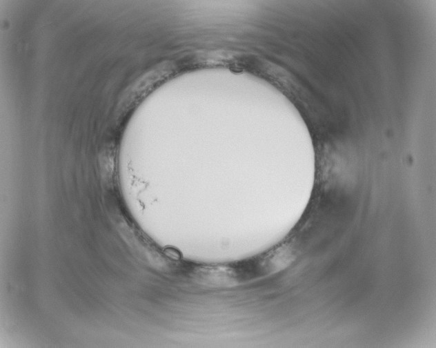 X0000052610427200507221704