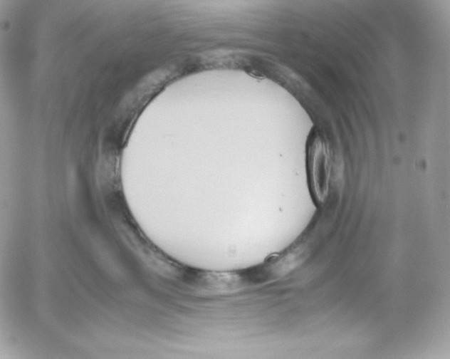 X0000052610429200507221704