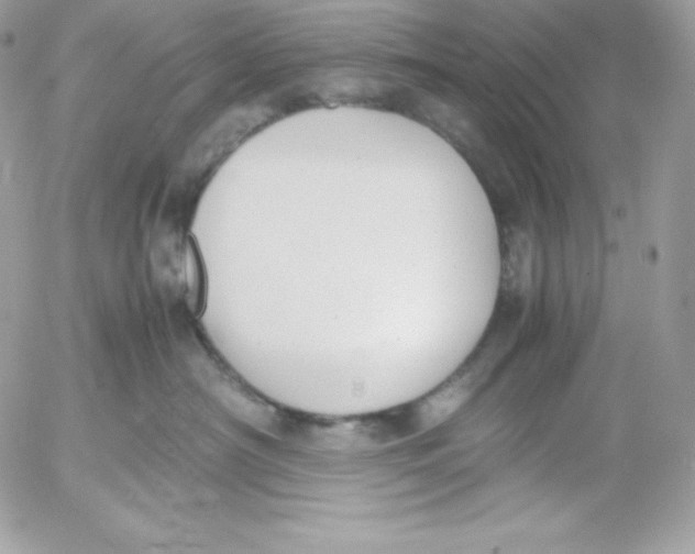 X0000052610430200507221704