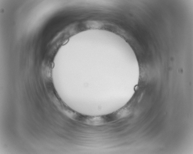 X0000052610431200507221704