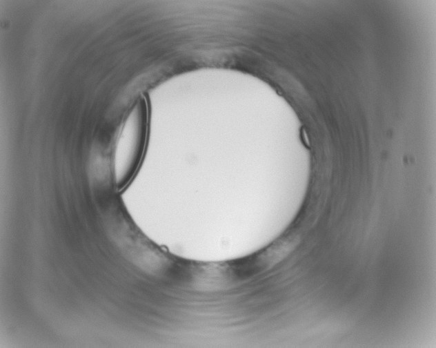 X0000052610432200507221704