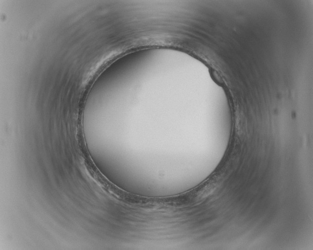 X0000052610434200507221703