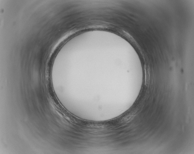 X0000052610435200507221703