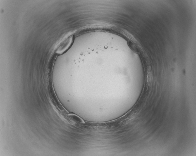 X0000052610436200507221703