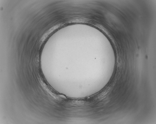 X0000052610437200507221703