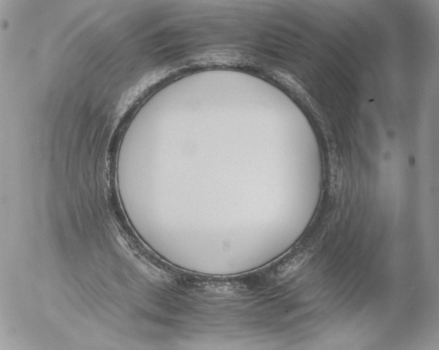 X0000052610439200507221703