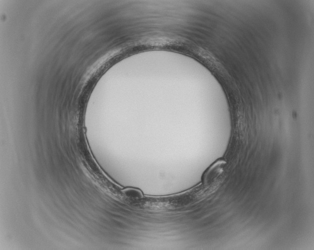 X0000052610440200507221703