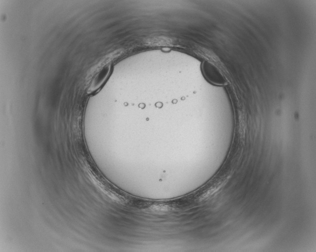 X0000052610441200507221703