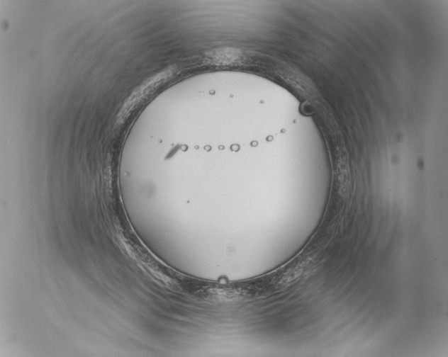 X0000052610442200507221703