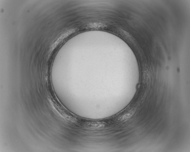 X0000052610443200507221703