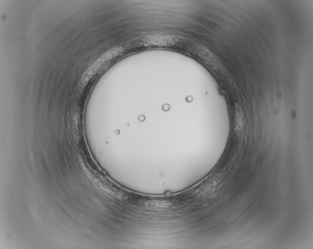 X0000052610444200507221703