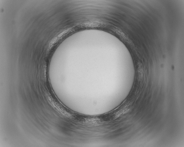 X0000052610446200507221703