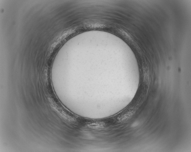 X0000052610447200507221703