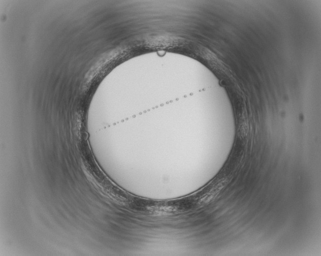 X0000052610448200507221703