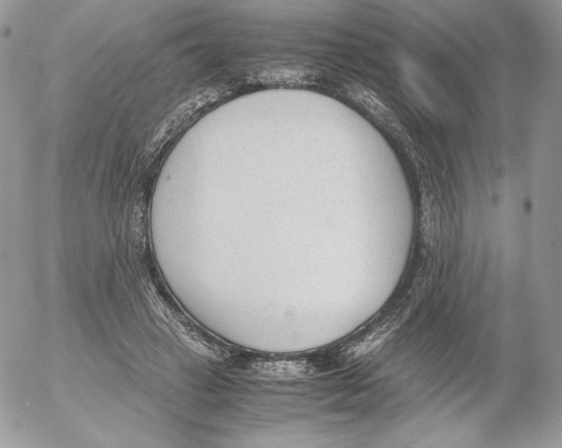 X0000052610449200507221703