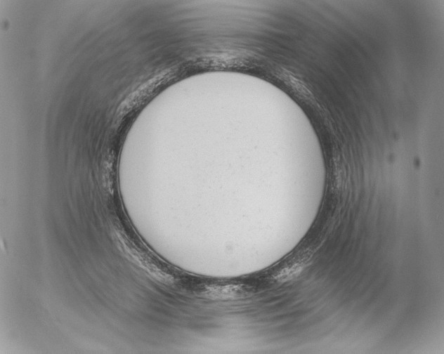 X0000052610450200507221703