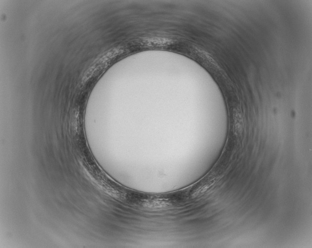 X0000052610451200507221703