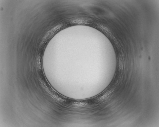 X0000052610453200507221703