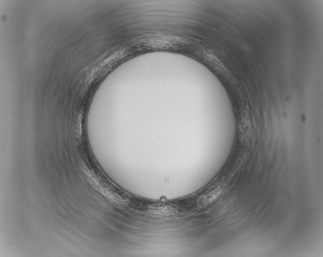 X0000052610454200507221703