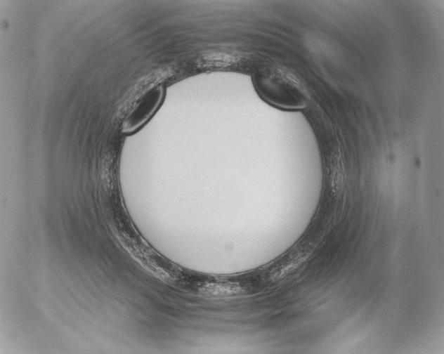 X0000052610455200507221703