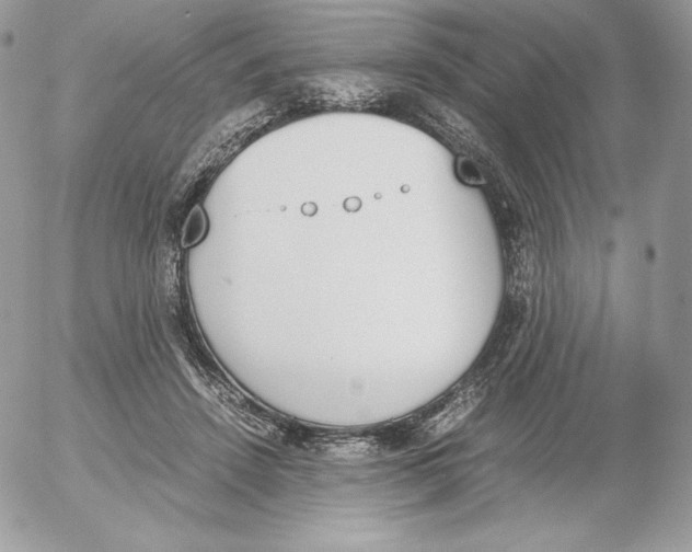 X0000052610456200507221703