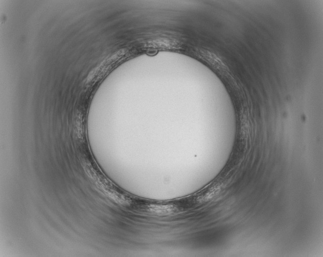 X0000052610457200507221703