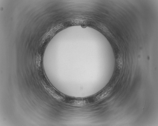 X0000052610458200507221703