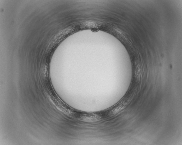 X0000052610459200507221703