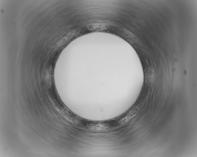 X0000052610460200507221703