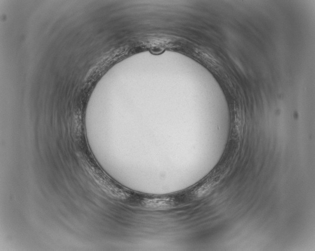 X0000052610461200507221703