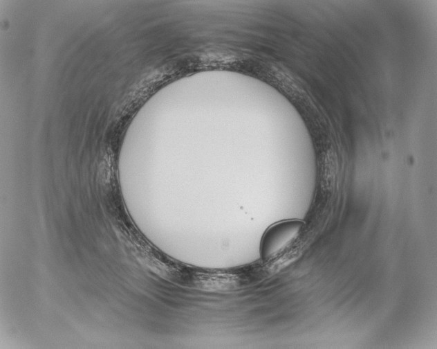 X0000052610463200507221703