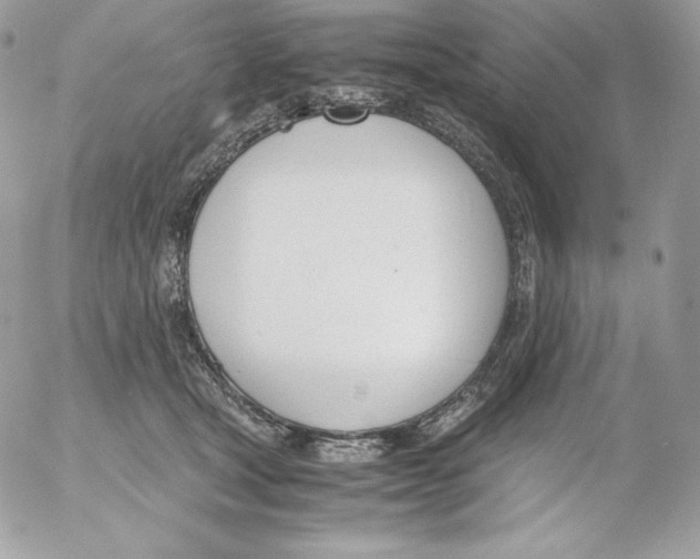 X0000052610465200507221703