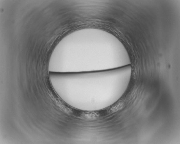 X0000052610466200507221703