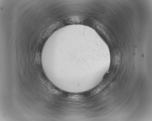 X0000052610467200507221703