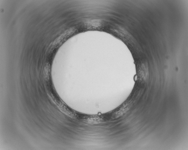 X0000052610468200507221703