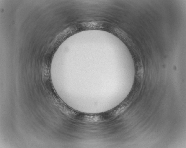 X0000052610469200507221703