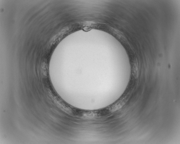 X0000052610470200507221703