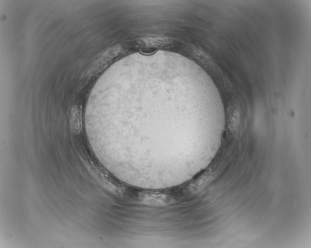 X0000052610471200507221704