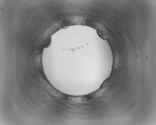 X0000052610473200507221704