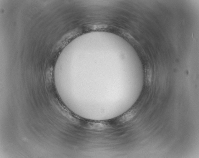 X0000052610475200507221704