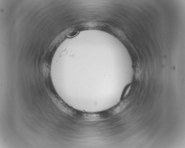 X0000052610476200507221704