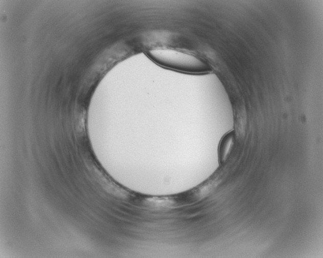 X0000052610477200507221704