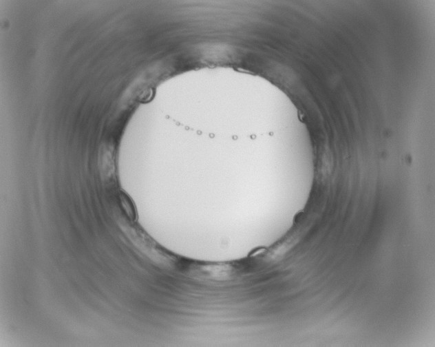 X0000052610478200507221704