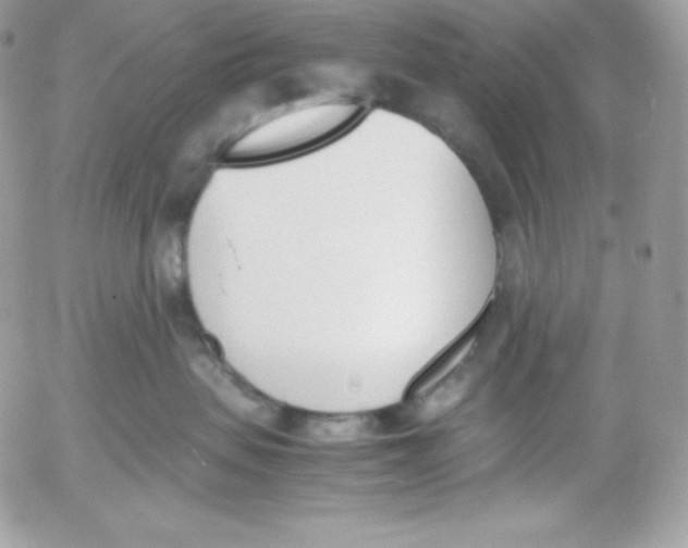 X0000052610479200507221704