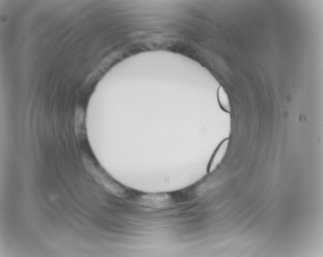 X0000052610480200507221704