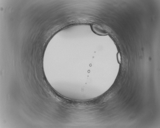 X0000052610481200507221703