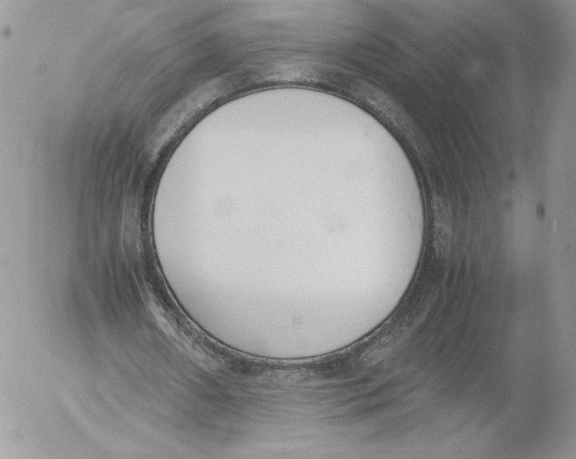 X0000052610482200507221703